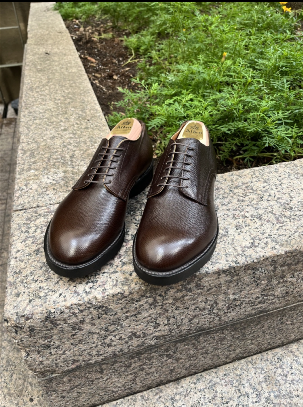 D8619 Snuff Suede — mouldedshoe